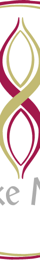 Logo Starke Mitte Finale Version